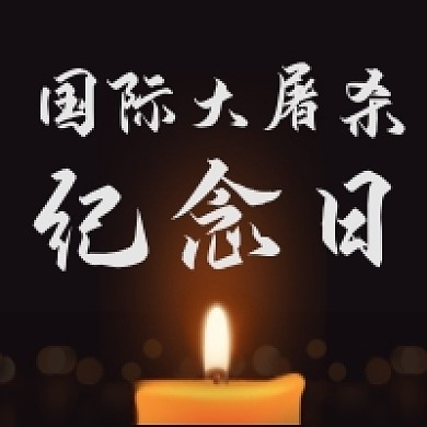 国际大屠杀纪念日微信公众号次图