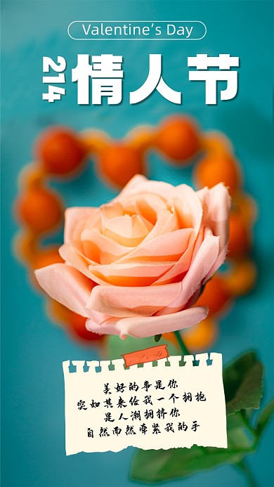 214情人节简约清新节日摄影手机海报