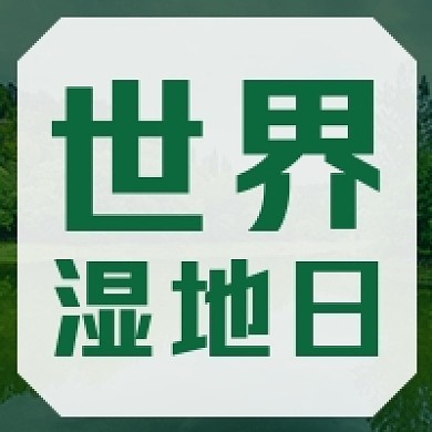 世界湿地日微信公众号次图