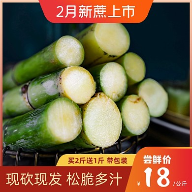 甘蔗新鲜水果渐变促销主图直通车