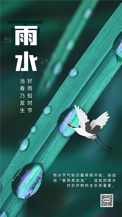 雨水节气清新简约摄影节气手机海报
