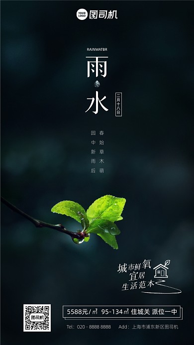雨水传统节日写实照片手机海报