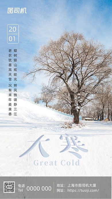大寒节气文艺小清新简约手机海报