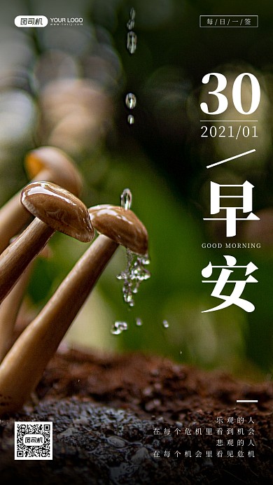 蘑菇雨水自然摄影手机海报