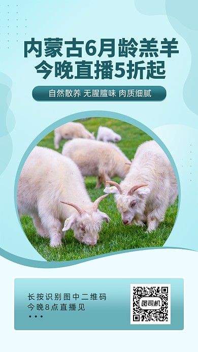 家禽活物之内蒙古羔羊直播促销手机海报