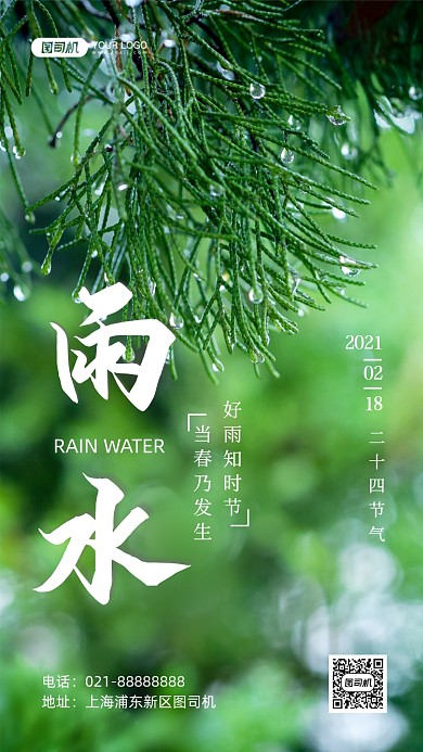 雨水二十四节气写实手机海报