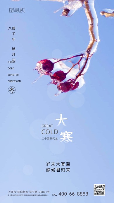 大寒节气文艺简约大气手机海报