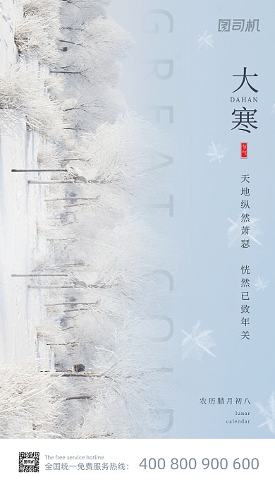 大寒节气冬日雪景实拍大气手机海报