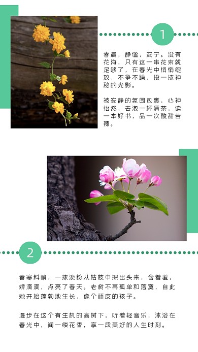 文艺清新美好心情立春春天公众号竖版配图