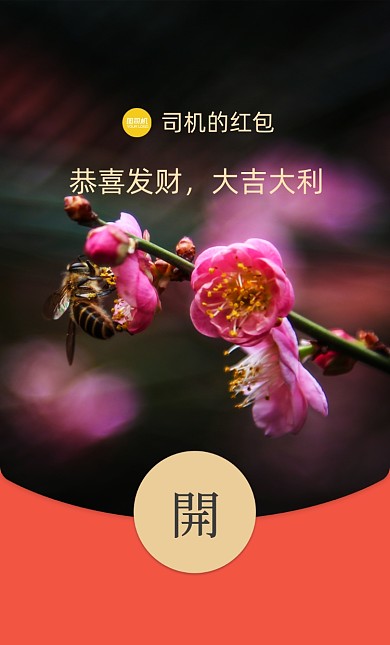 桃花花卉摄影风微信红包封面