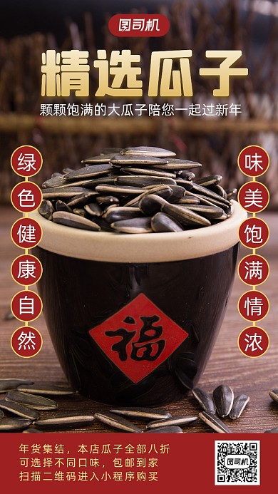 精选瓜子年货实物摄影图手机海报