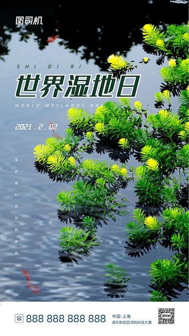 世界湿地日简约清新手机海报