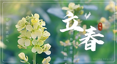 绿色小清新立春节气广告banner
