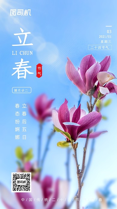 立春节气小清新简约手机海报