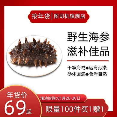 野生海参海鲜过年送礼主图直通车