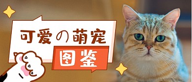 可爱萌宠图鉴公众号首图
