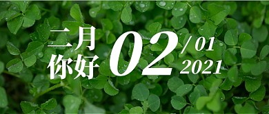 绿色简约摄影风二月你好公众号首图