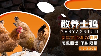 简约黑黄农家土鸡手机海报横图