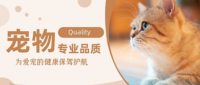 宠物店宣传公众号首图