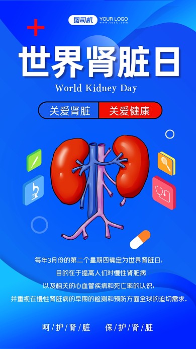 世界肾脏日蓝色手绘卡通手机海报