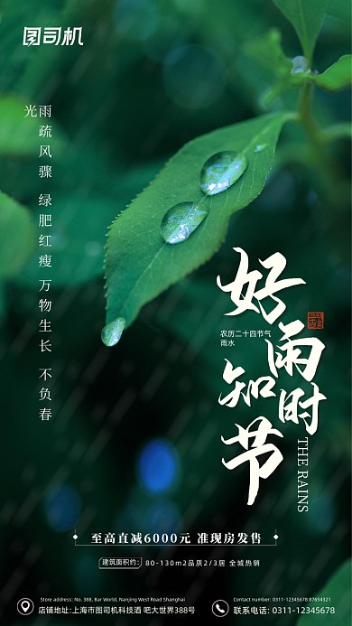 雨水节气大气简约手机海报