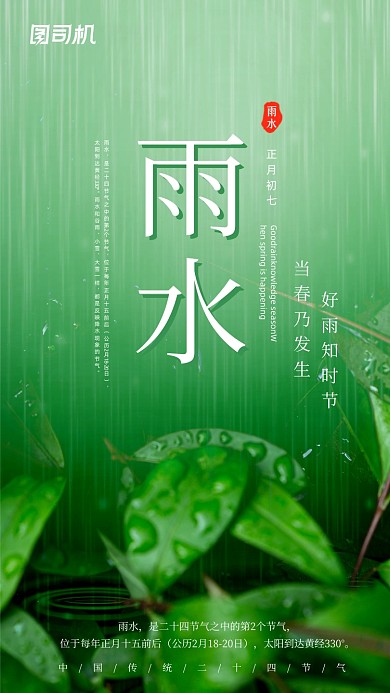 雨水节气绿色清新简约手机海报