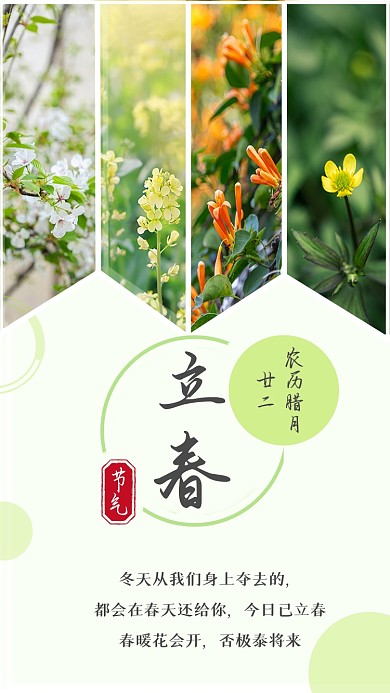 立春春天来了摄影图竖版配图