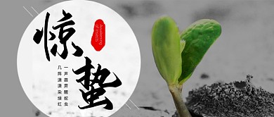 简约绿色惊蛰节气公众号首图