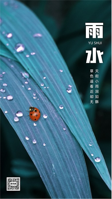 雨水节气清新简约摄影节气手机海报