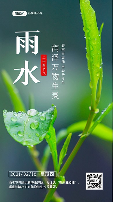 雨水二十四节气写实手机海报
