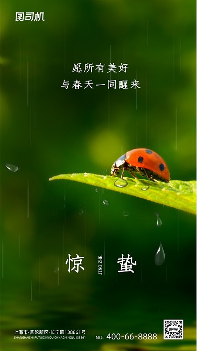 惊蛰节气绿色大气清新手机海报