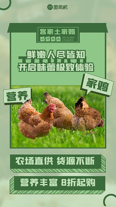 家禽活鸡绿色简约活动手机海报