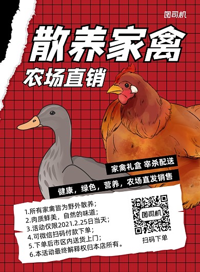 散养家禽直销宣传红色印刷海报
