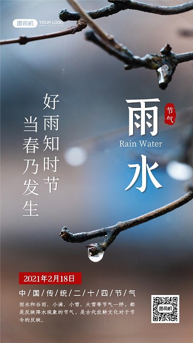 雨水二十四节气写实手机海报