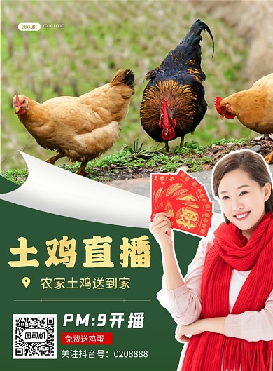 农家土鸡直播促销商务风鹅促销印刷海报