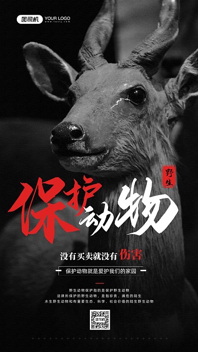 保护野生动物公益宣传手机海报