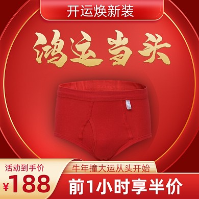 新春焕新装本命年红色内裤促销主图直通车