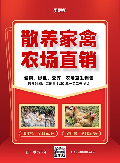 家禽直销宣传红色印刷海报