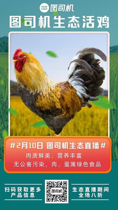 生态活鸡家禽促销手机海报