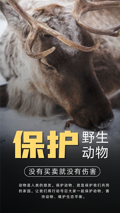 保护野生动物简约摄影手机海报