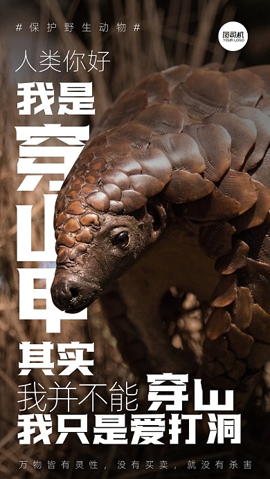 野生动物保护穿山甲摄影图手机海报