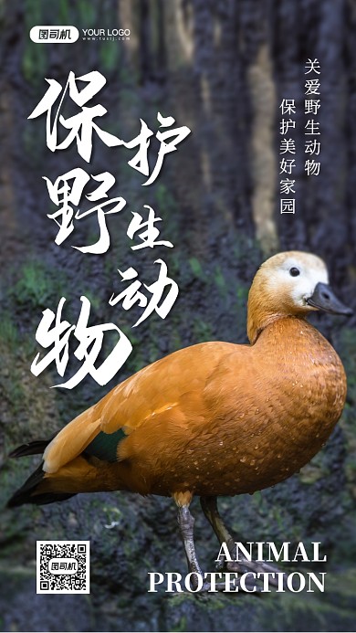 野生动物保护宣传写实手机海报