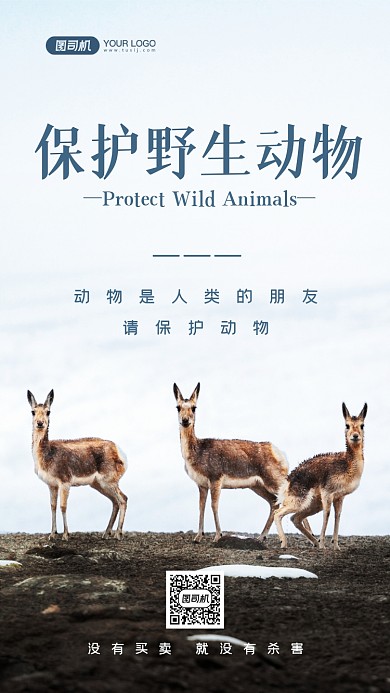 野生动物保护宣传写实手机海报