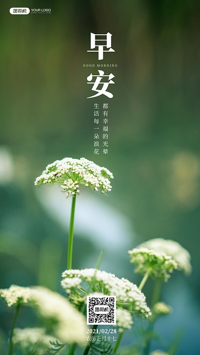 白色野花摄影手机海报