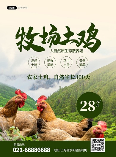 绿色农场天然土鸡推广宣传海报