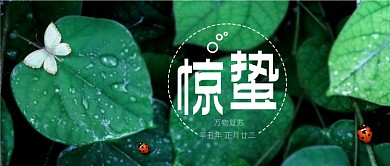 惊蛰节气绿色植物清新摄影图公众号首图