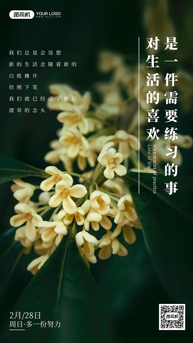 植物摄影励志手机海报