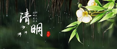 绿色清明节清新摄影图节气公众号首图