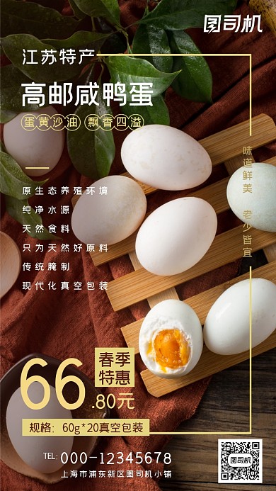 江苏特产咸鸭蛋棕色简约特惠手机海报