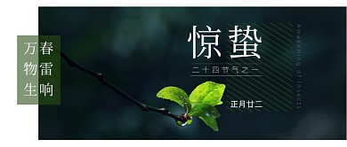 惊蛰节气简约大气发芽摄影图公众号首图